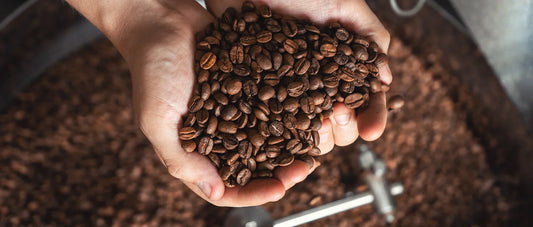 Coffee Shop Roasting Guide | In-House vs Wholesale for Coffee Shops