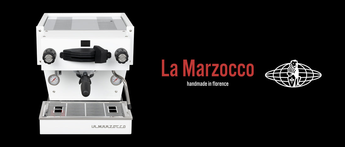 The Complete Guide to the La Marzocco Linea Mini
