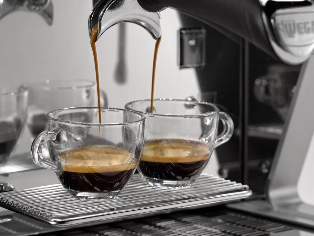 Wega IO Espresso Machine
