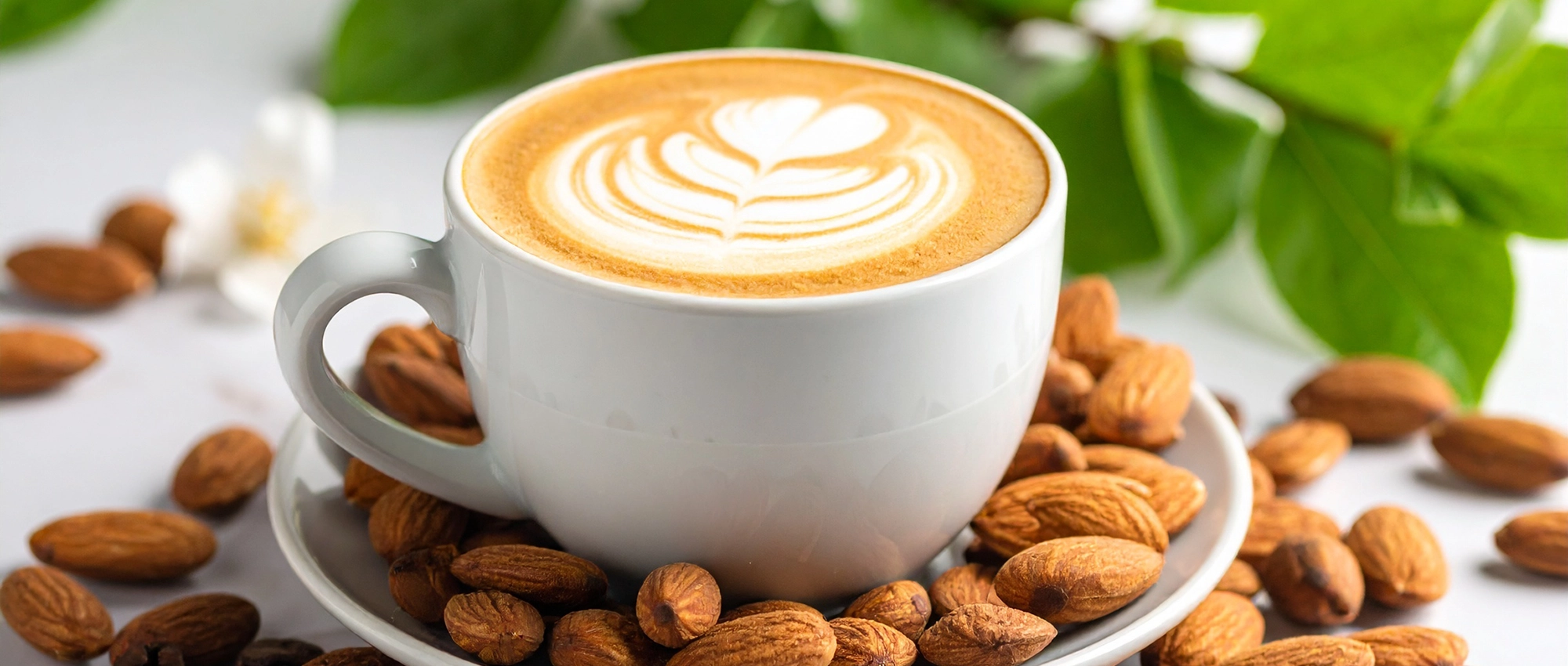 Plant Based Coffee Drinks